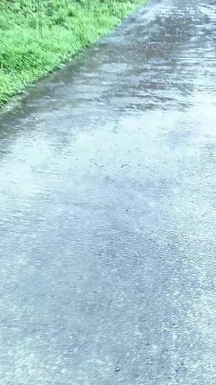 南方雨一直下下下,南方总是在下雨