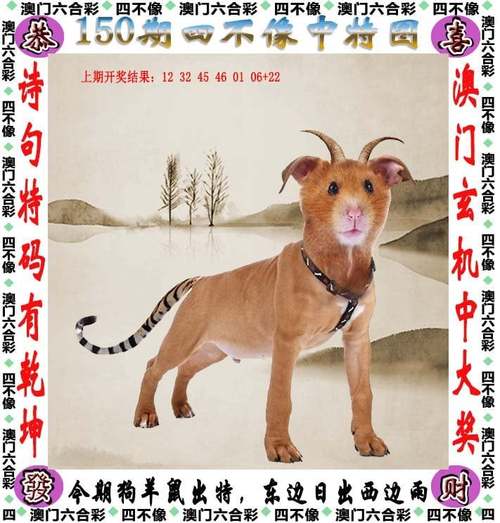 新澳彩免费长期资料大全:27岁抗癌博主去世