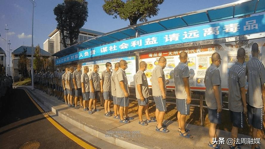 新澳2025年最新版资料柳媚花明:猫咪向监狱走私毒品