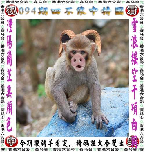 澳彩资料免费的资料大全wwe全面解答:小米YU7不公布价格