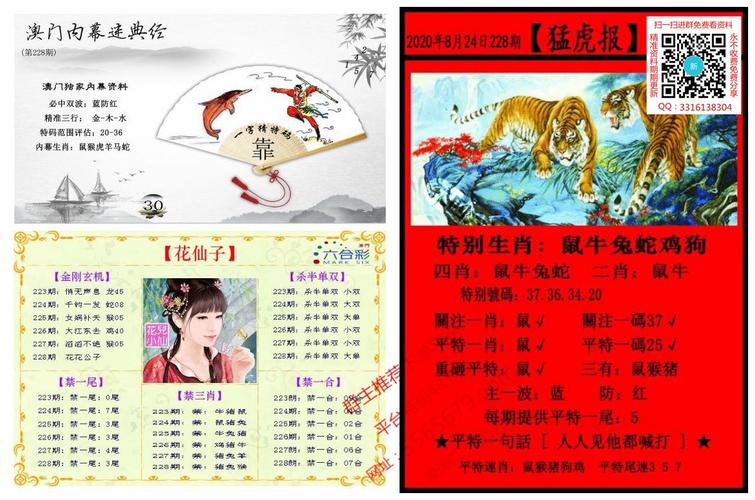 收集各类澳门彩资料的软件叫什么:星舰第9次试飞