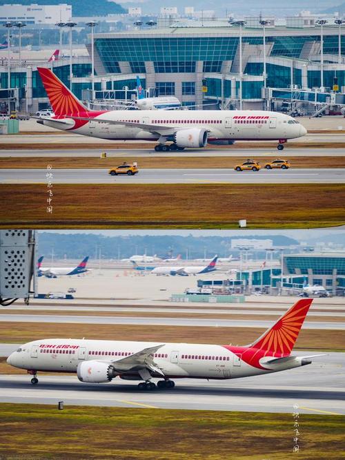 新澳2025天天正版资料和印度航空坠机声明与印度航空坠机声明书